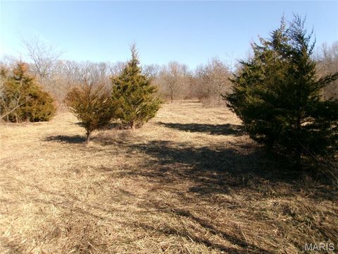 Tiny photo for 1175 Pike 41, Bowling Green, MO 63334 (MLS # 26004984)