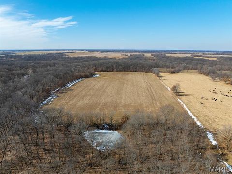 Tiny photo for 1175 Pike 41, Bowling Green, MO 63334 (MLS # 26004984)