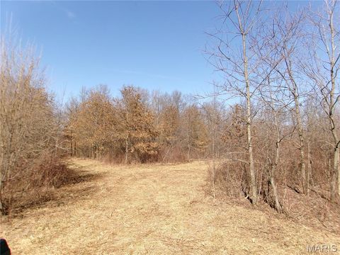 Tiny photo for 1175 Pike 41, Bowling Green, MO 63334 (MLS # 26004984)