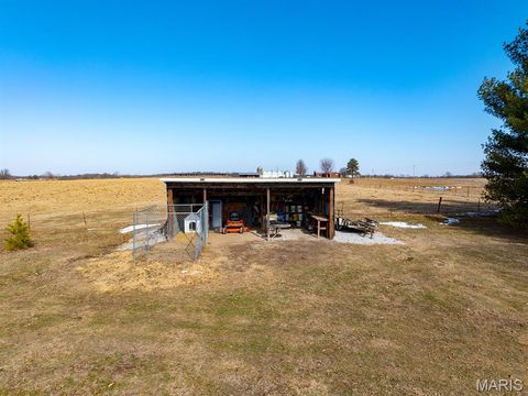 Tiny photo for 1175 Pike 41, Bowling Green, MO 63334 (MLS # 26004984)