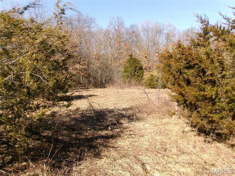 Tiny photo for 1175 Pike 41, Bowling Green, MO 63334 (MLS # 26004984)