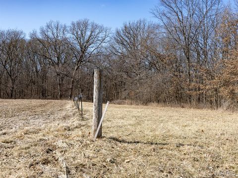 Tiny photo for 1175 Pike 41, Bowling Green, MO 63334 (MLS # 26004984)