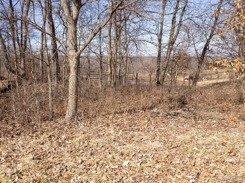 Tiny photo for 1175 Pike 41, Bowling Green, MO 63334 (MLS # 26004984)