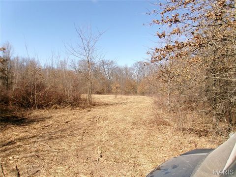 Tiny photo for 1175 Pike 41, Bowling Green, MO 63334 (MLS # 26004984)