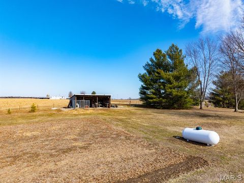 Tiny photo for 1175 Pike 41, Bowling Green, MO 63334 (MLS # 26004984)