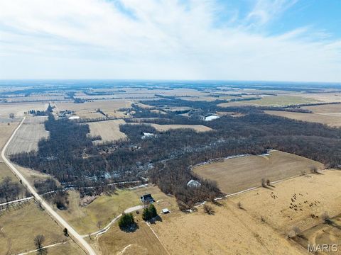 Tiny photo for 1175 Pike 41, Bowling Green, MO 63334 (MLS # 26004984)