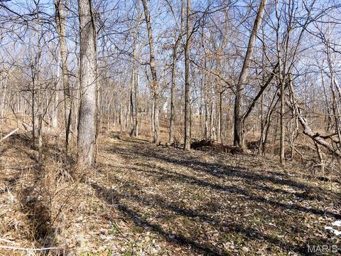 Tiny photo for 1175 Pike 41, Bowling Green, MO 63334 (MLS # 26004984)