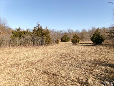 Tiny photo for 1175 Pike 41, Bowling Green, MO 63334 (MLS # 26004984)