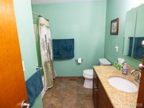 Tiny photo for 1175 Pike 41, Bowling Green, MO 63334 (MLS # 26004984)