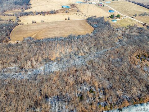 Tiny photo for 1175 Pike 41, Bowling Green, MO 63334 (MLS # 26004984)