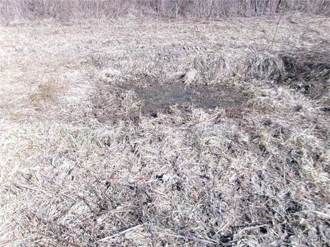 Tiny photo for 1175 Pike 41, Bowling Green, MO 63334 (MLS # 26004984)