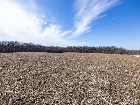 Tiny photo for 1175 Pike 41, Bowling Green, MO 63334 (MLS # 26004984)