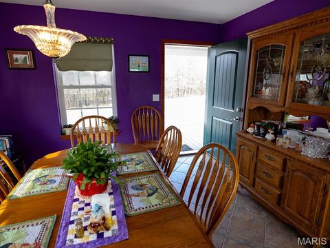 Tiny photo for 1175 Pike 41, Bowling Green, MO 63334 (MLS # 26004984)