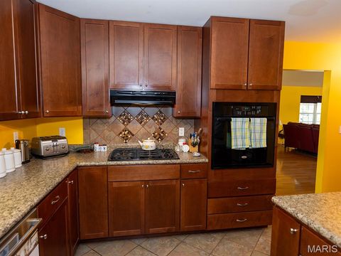 Tiny photo for 1175 Pike 41, Bowling Green, MO 63334 (MLS # 26004984)