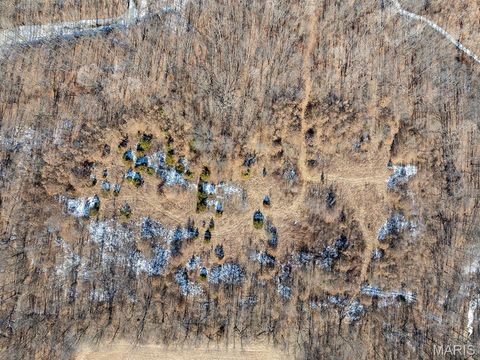 Tiny photo for 1175 Pike 41, Bowling Green, MO 63334 (MLS # 26004984)