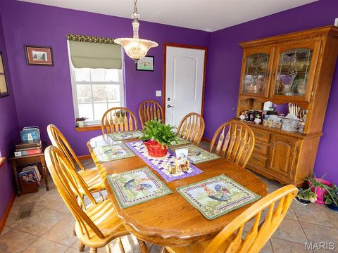 Tiny photo for 1175 Pike 41, Bowling Green, MO 63334 (MLS # 26004984)