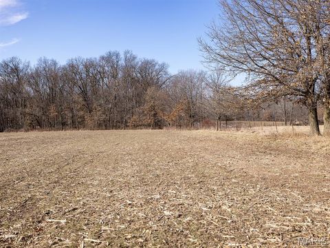 Tiny photo for 1175 Pike 41, Bowling Green, MO 63334 (MLS # 26004984)