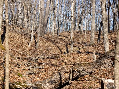 Tiny photo for 1175 Pike 41, Bowling Green, MO 63334 (MLS # 26004984)