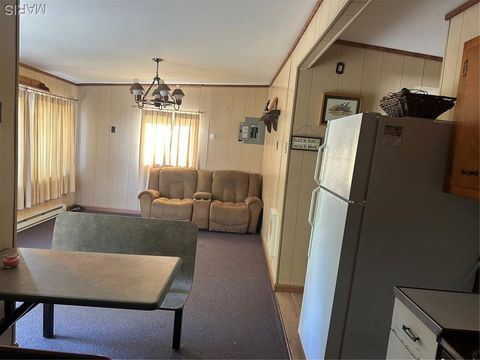 Tiny photo for 72 S River Road, Elsberry, MO 63343 (MLS # 25075229)