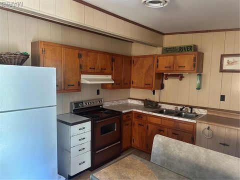 Tiny photo for 72 S River Road, Elsberry, MO 63343 (MLS # 25075229)