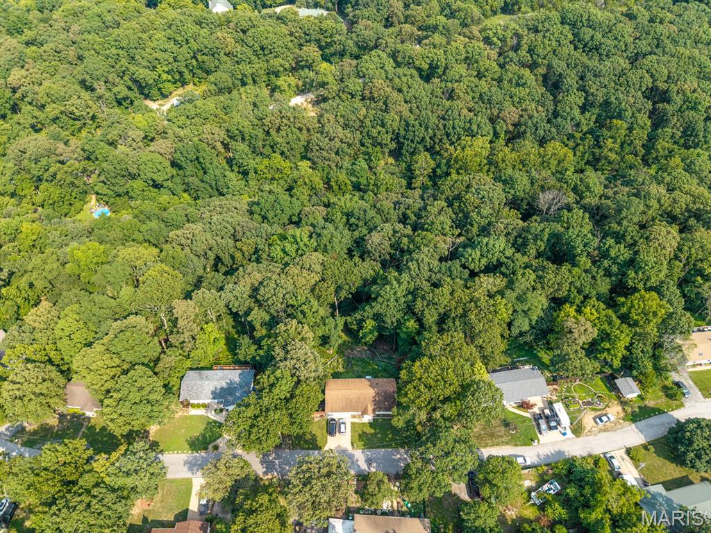 2164 Forest Lane