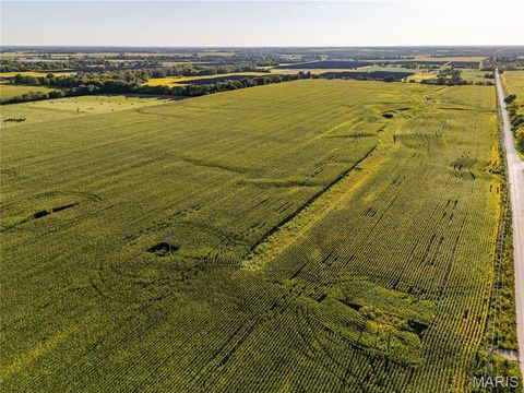 Tiny photo for 00 Business US 61, Bowling Green, MO 63334 (MLS # 25059688)