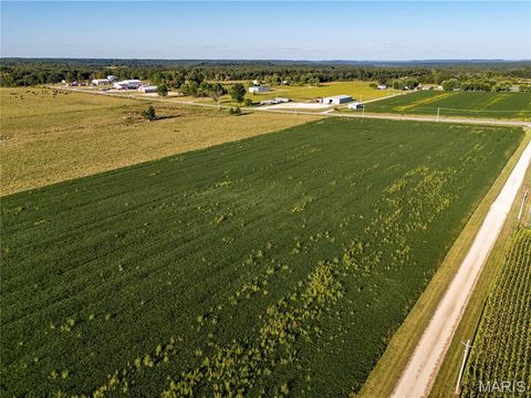 Tiny photo for 00 Business US 61, Bowling Green, MO 63334 (MLS # 25059688)