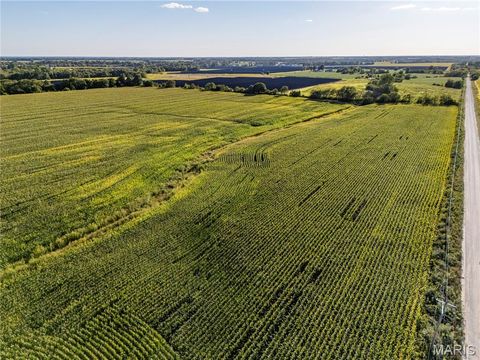 Tiny photo for 00 Business US 61, Bowling Green, MO 63334 (MLS # 25059688)