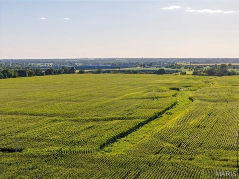 Tiny photo for 00 Business US 61, Bowling Green, MO 63334 (MLS # 25059688)