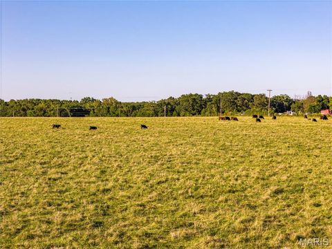 Tiny photo for 00 Business US 61, Bowling Green, MO 63334 (MLS # 25059688)