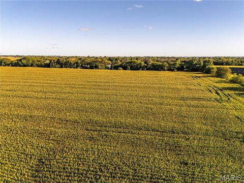 Tiny photo for 00 Business US 61, Bowling Green, MO 63334 (MLS # 25059688)