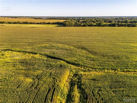 Tiny photo for 00 Business US 61, Bowling Green, MO 63334 (MLS # 25059688)