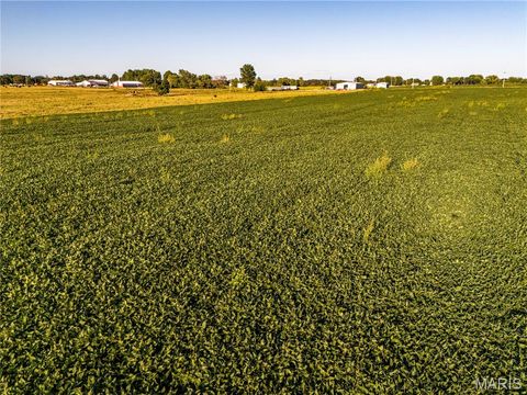 Tiny photo for 00 Business US 61, Bowling Green, MO 63334 (MLS # 25059688)