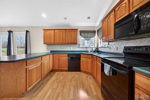 Tiny photo for 205 Deer View Drive, Troy, MO 63379 (MLS # 26003545)