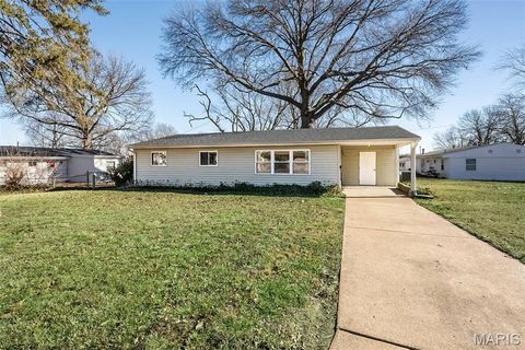 4204 Beauty Lane Woodson Terrace MO 63134