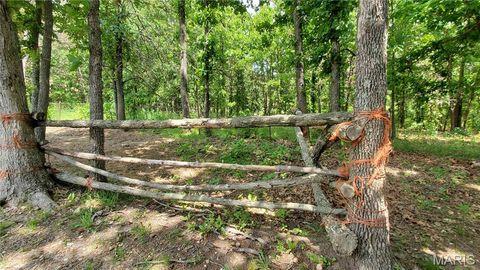 Tiny photo for 171 County Road 5045, Salem, MO 65560 (MLS # 26030939)