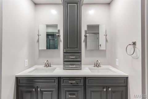 Tiny photo for 5174 Hollow Wood Court #C, St Louis, MO 63128 (MLS # 25069397)