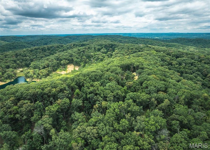 This 10-acre tract in House Springs, MO offers the perfect mix of seclusion and convenience. Nestled at the end of a private trail, the property boasts breathtaking views of the bottomland below and is just minutes from Highway 30—making for a quick and easy commute to St. Louis. A true outdoorsman’s paradise, the land is loaded with whitetail deer and wild turkeys, and is surrounded by larger tracts and landowners, keeping traffic minimal and wildlife plentiful. Whether you're looking to build your dream home, create a private hunting retreat, or simply enjoy a peaceful weekend getaway, this property checks all the boxes. Proof of funds or bank letter to be provided to agent to come take a look today! Multiple 10 acre tracts available or buy the entire 40 acres.