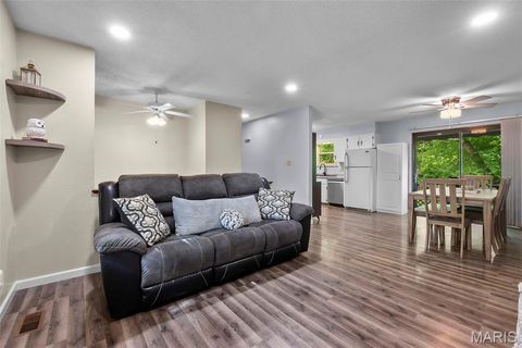 Tiny photo for 216 S Shawnee Boulevard, Jackson, MO 63755 (MLS # 26028454)