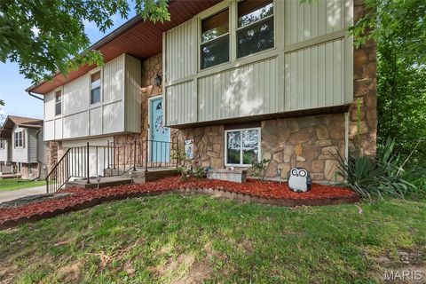 Photo of 216 S Shawnee Boulevard, Jackson, MO 63755 (MLS # 26028454)