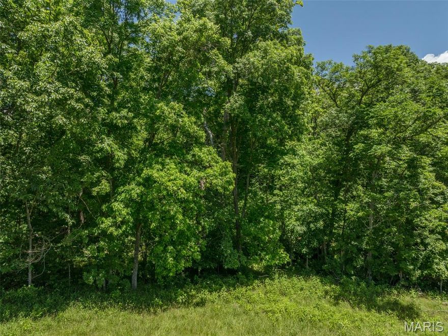 Exceptional building lot located in the heart of Innsbrook! Spanning more than two acres of beautiful Missouri woodland, this property showcases the area’s natural landscape. Oak and maple are mixed with dogwood and cedar, creating a scenic, wooded setting. A gentle slope leads to a peaceful creek that winds along the back of the property, providing a tranquil backdrop for your future home. Natural boulder outcroppings add character throughout the lot. Enjoy easy access to nearby community hiking trails—imagine stepping out your back door and heading straight into nature. In the fall and winter months, the changing seasons reveal scenic valley views beyond the trees. There’s no required timeline to build, giving you the flexibility to plan and construct at your own pace. Located just minutes from Innsbrook’s largest lake, Lake Alpine. Building guidelines apply. Come walk the property and experience the beauty of this special homesite for yourself.