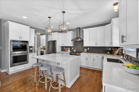 Tiny photo for 1025 Barry Court, Kirkwood, MO 63122 (MLS # 26006505)