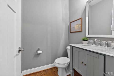 Tiny photo for 1025 Barry Court, Kirkwood, MO 63122 (MLS # 26006505)