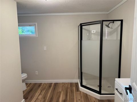 Tiny photo for 21700 Highway Y, St Robert, MO 65584 (MLS # 26029566)