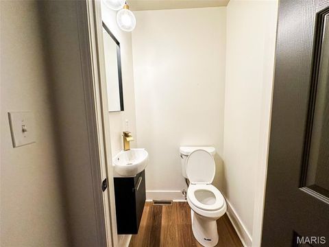 Tiny photo for 3647 Pennsylvania Avenue, St Louis, MO 63118 (MLS # 25070771)