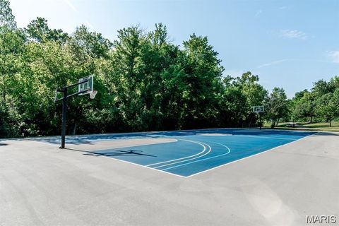 Tiny photo for 308 Graywynd Court, Lake Saint Louis, MO 63367 (MLS # 26018554)