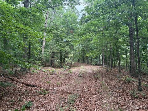 Tiny photo for 0 Highway 21, Ellington, MO 63638 (MLS # 26037812)