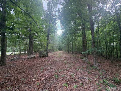 Tiny photo for 0 Highway 21, Ellington, MO 63638 (MLS # 26037812)