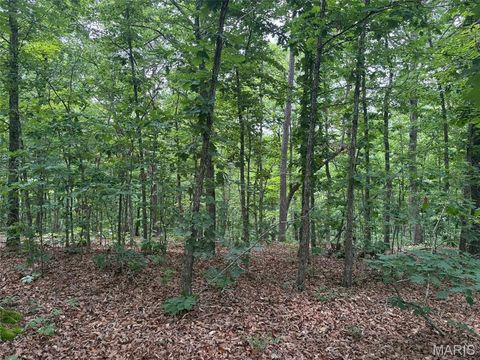 Photo of 0 Highway 21, Ellington, MO 63638 (MLS # 26037812)
