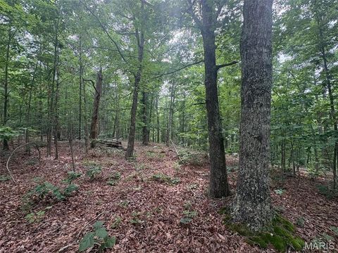 Tiny photo for 0 Highway 21, Ellington, MO 63638 (MLS # 26037812)